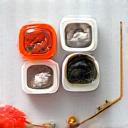 Assortment of fresh live bait and lures